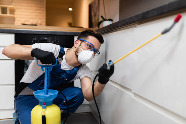 Best Cockroach Control Services  in Joshua Tree, CA