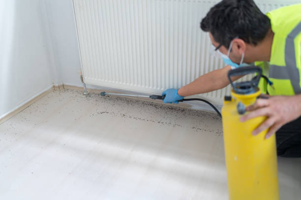 Pest Prevention Services in Joshua Tree, CA